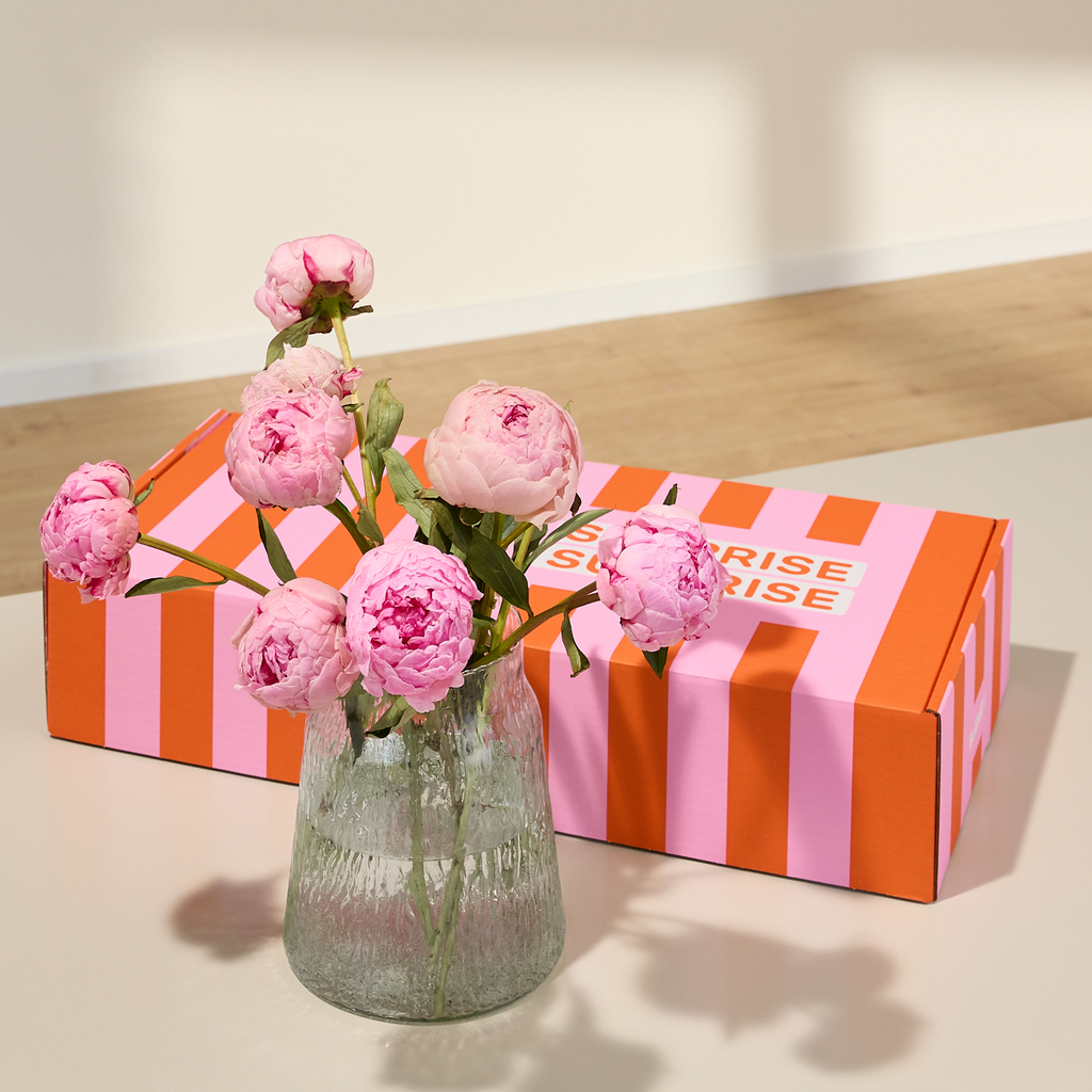 XOXO-Box Peony Kiss