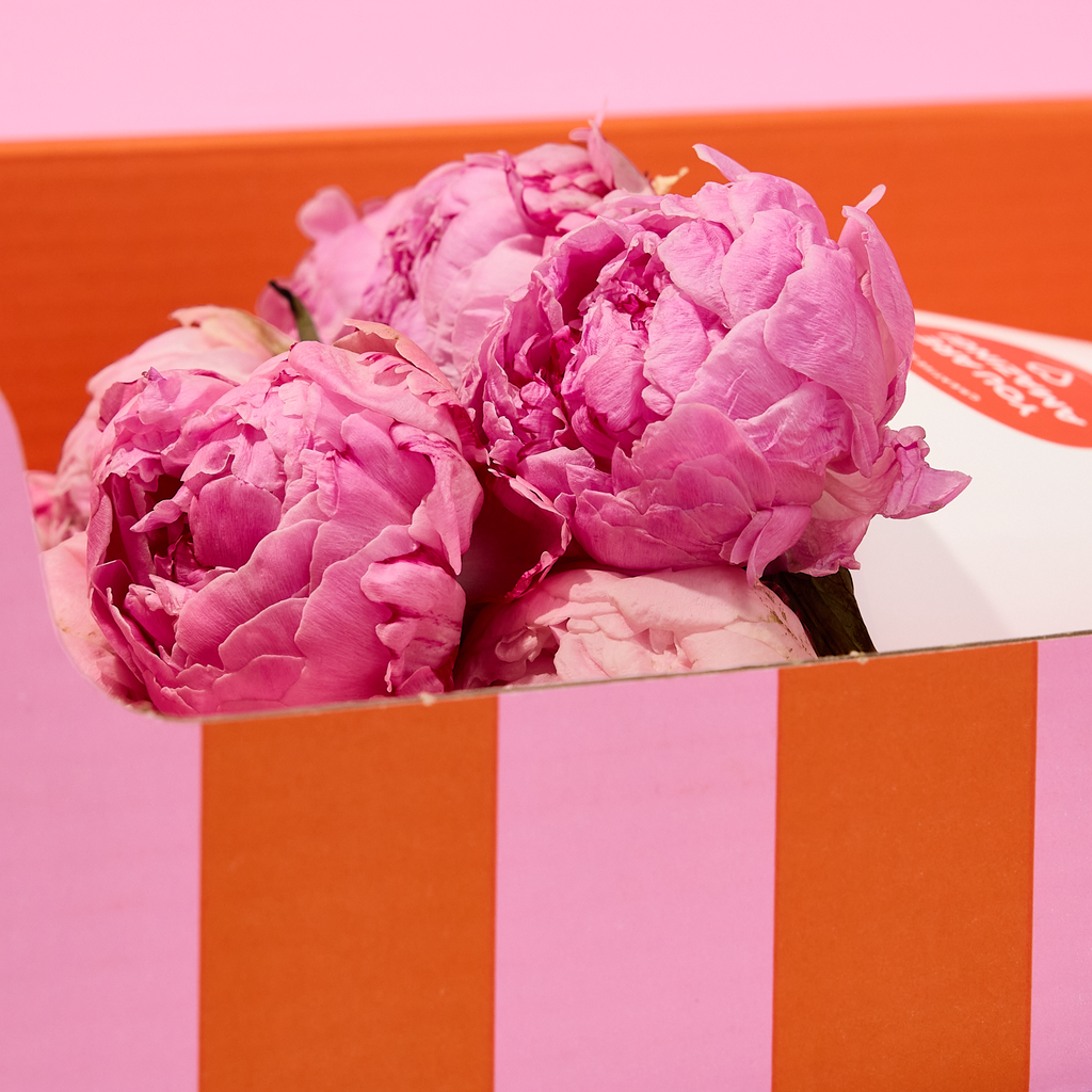 XOXO-Box Peony Kiss