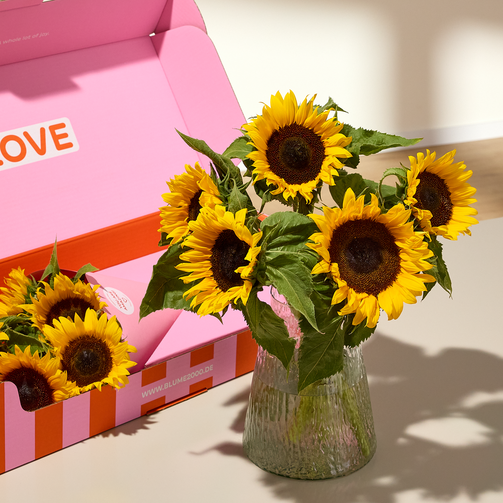 XOXO-Box Summer Joy