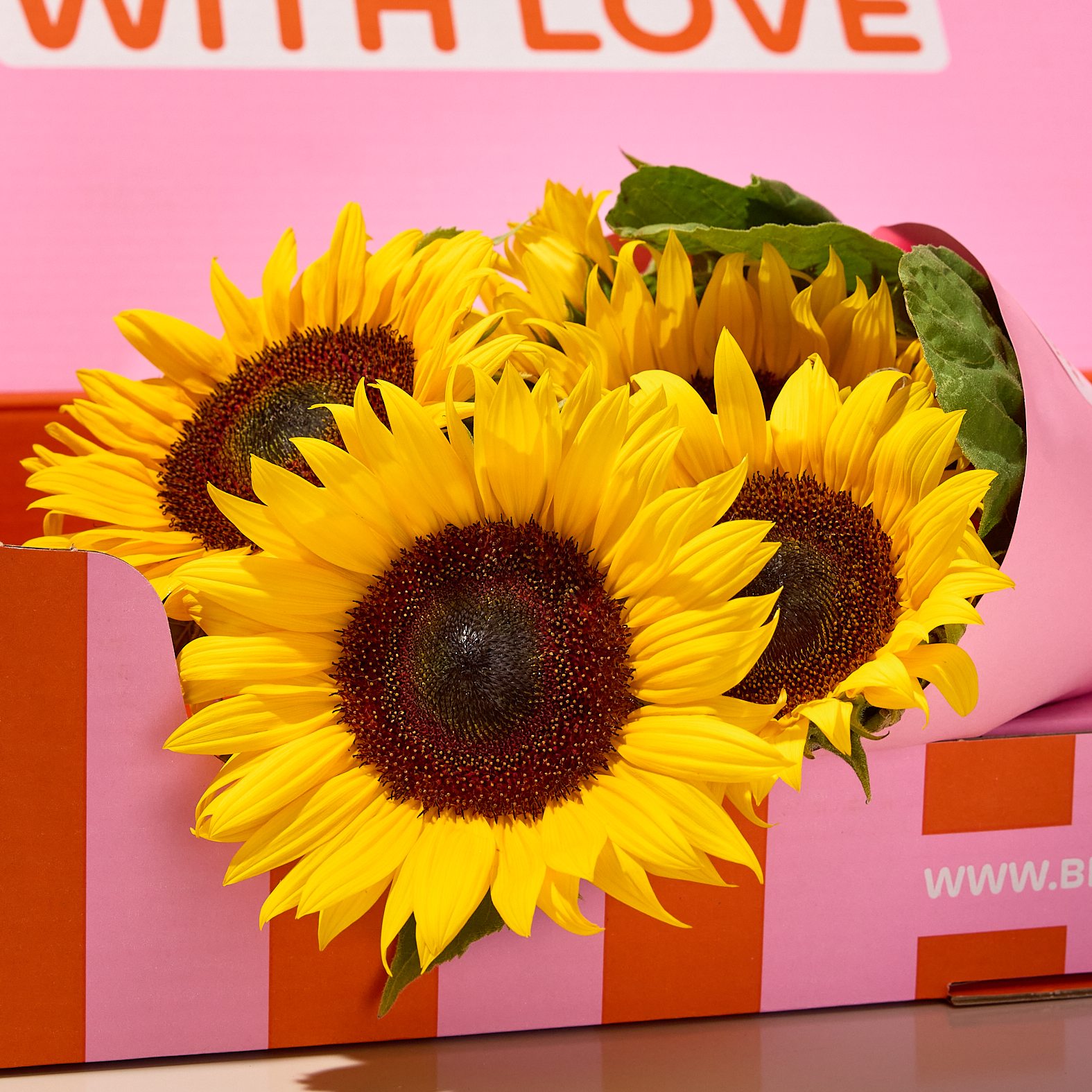 XOXO-Box Summer Joy