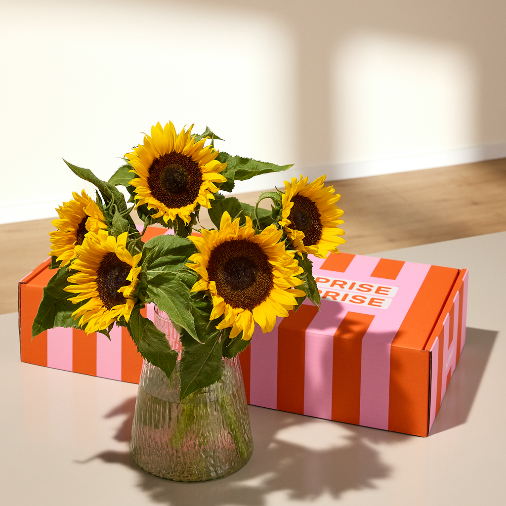 XOXO-Box Summer Joy
