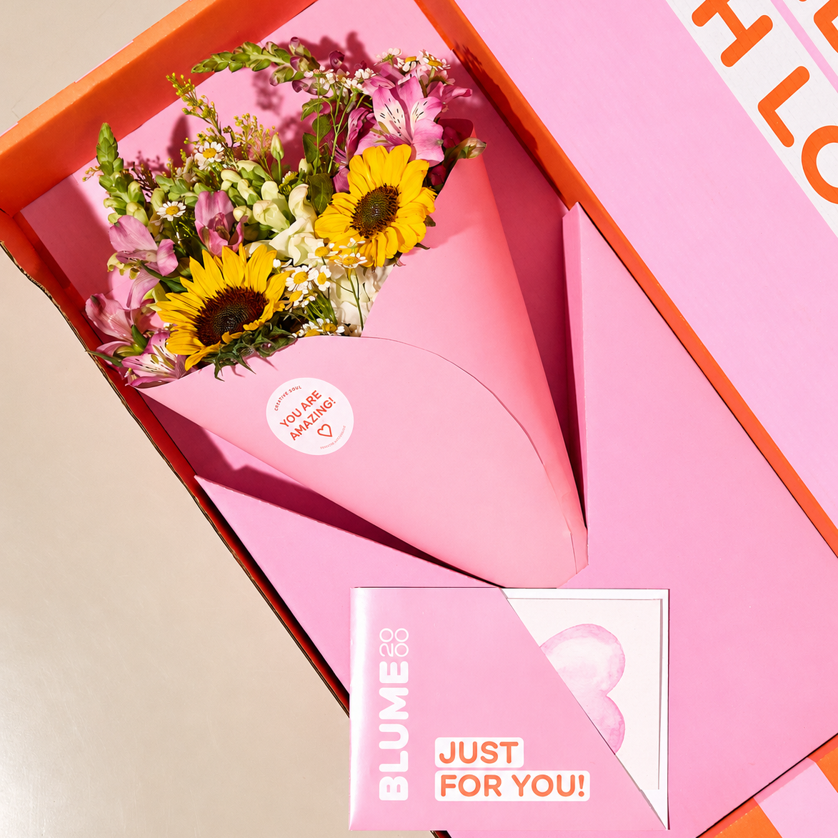 XOXO-Box Sunny