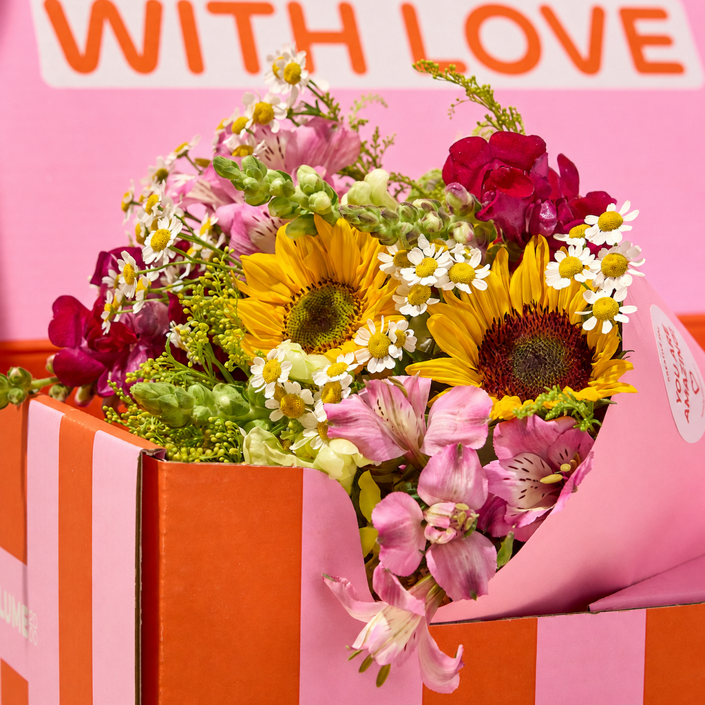 XOXO-Box Sunny